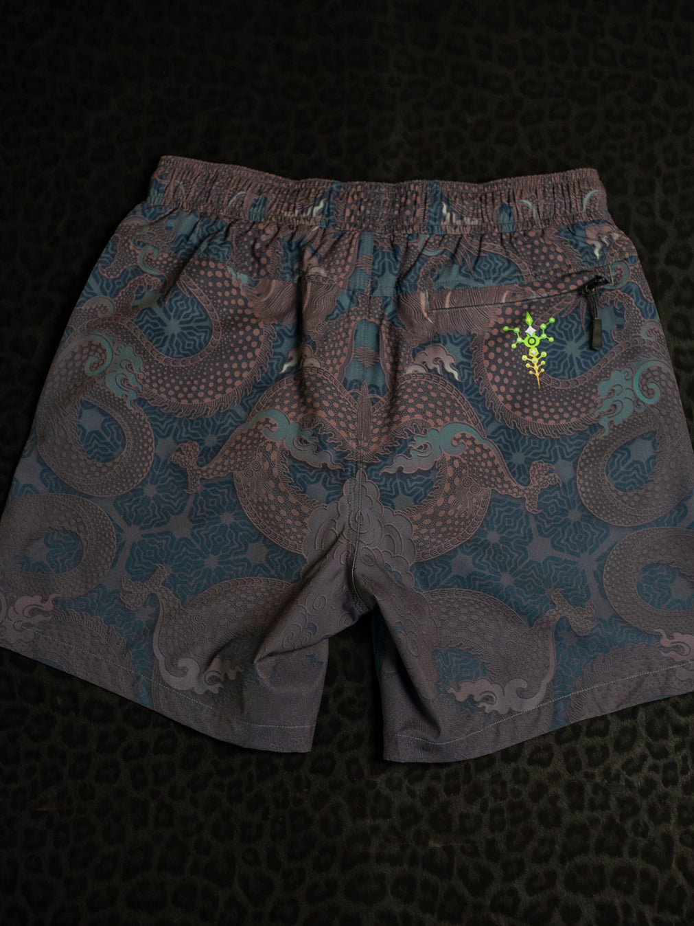 Pool Short Men / Recycled Polyster - DRAGONS