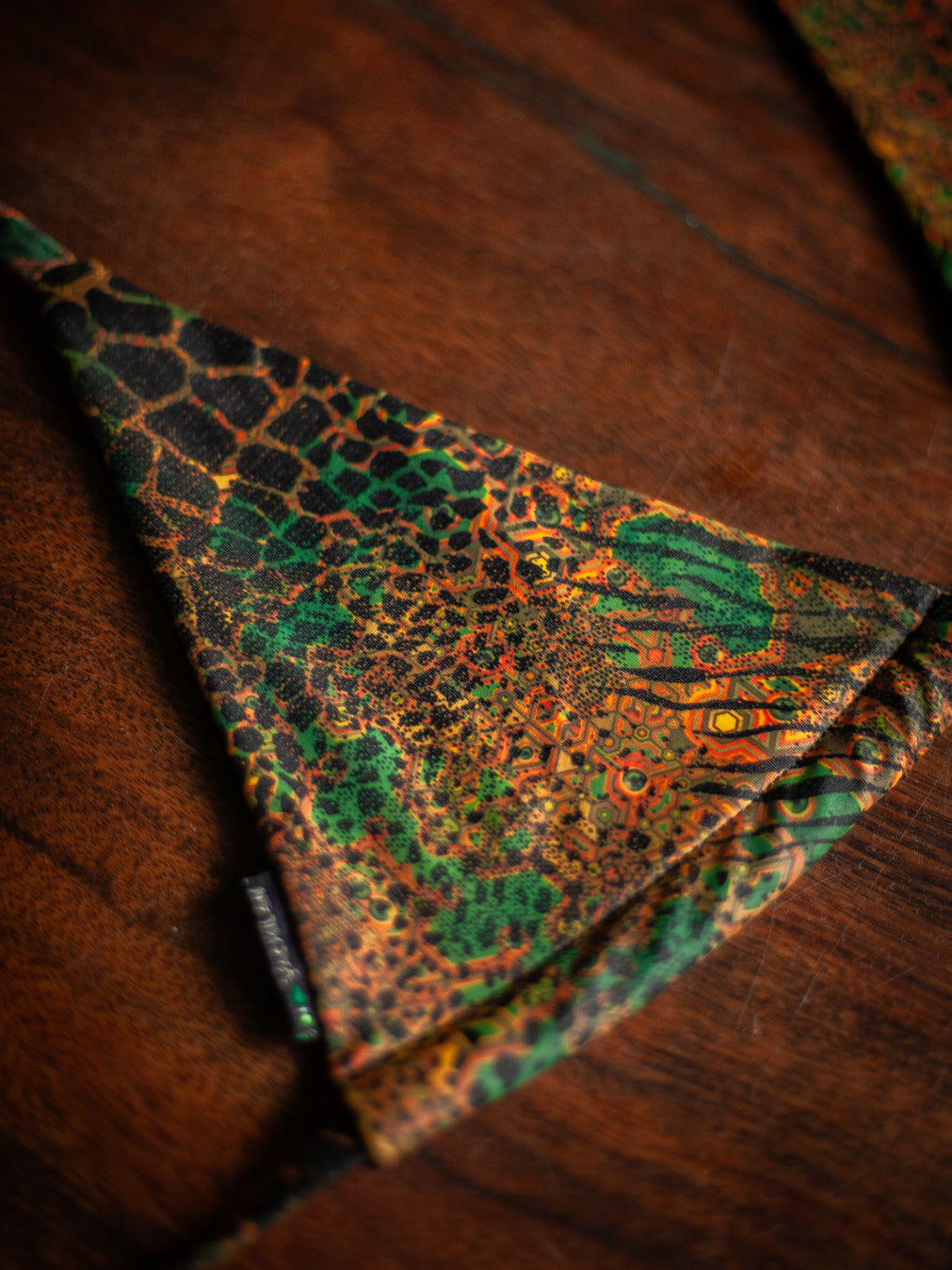 Swimsuit / Bikini - ATLANTHEON Tigre