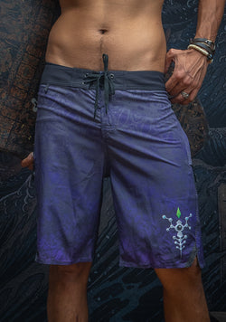 Boardshort Men / Fast Dry - Purple HAZE