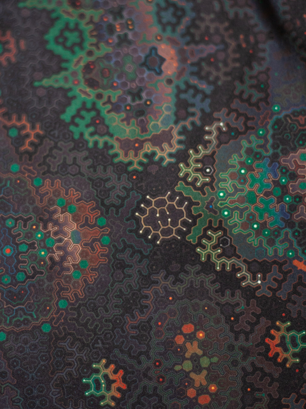 Pool Short Men / Recycled Polyster - PINECONE